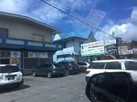 IMG 0495