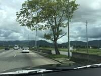 IMG 0503