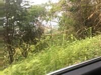 IMG 0539