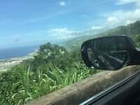 IMG 0542