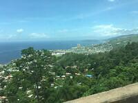 IMG 0543