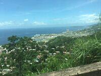 IMG 0544