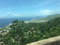 IMG 0545