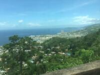 IMG 0546