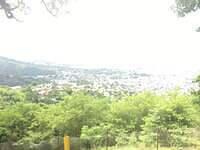 IMG 0554