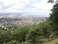 IMG 0559
