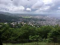 IMG 0568