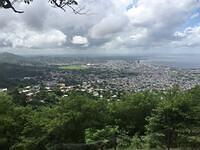 IMG 0571