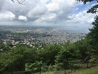 IMG 0571