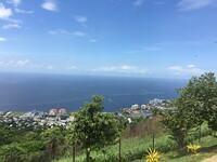 IMG 0575