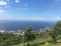 IMG 0575