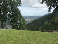 IMG 0581