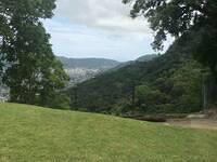 IMG 0582