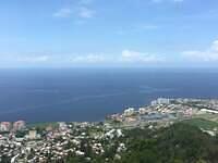 IMG 0594