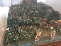 IMG 0608