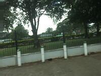 IMG 0620