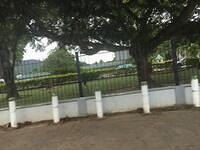 IMG 0620