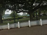 IMG 0621