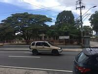 IMG 0630