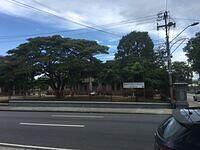 IMG 0630