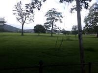 IMG 0631