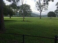IMG 0632