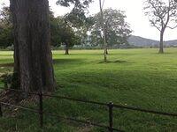 IMG 0634