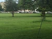 IMG 0641