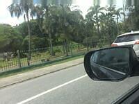 IMG 0642