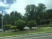 IMG 0648
