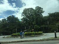 IMG 0648