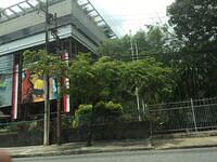 IMG 0651