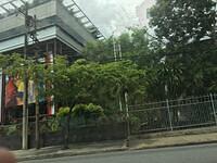 IMG 0652