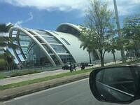 IMG 0657
