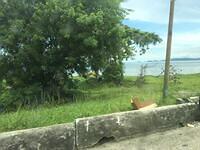 IMG 0660