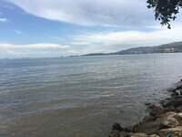 IMG 0668