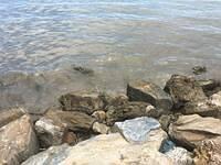IMG 0670
