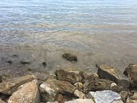IMG 0671