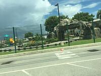 IMG 0685