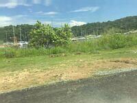 IMG 0688