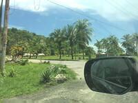 IMG 0692