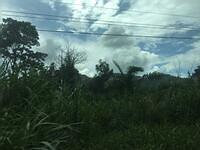 IMG 0694