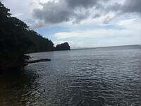 IMG 0713