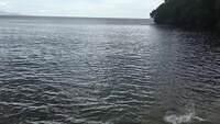 IMG 0715