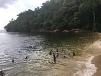 IMG 0719