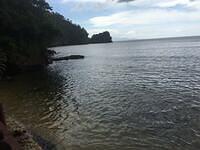 IMG 0720