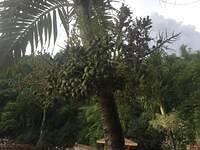 IMG 0722