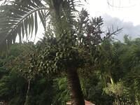 IMG 0724