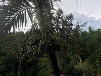 IMG 0725