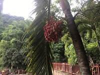 IMG 0727